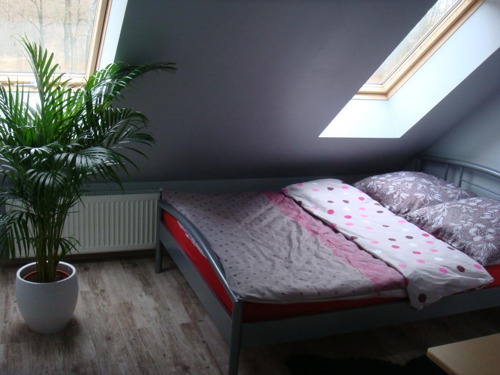 Gryfów Śląski阿格穆丽娜旅馆公寓 外观 照片