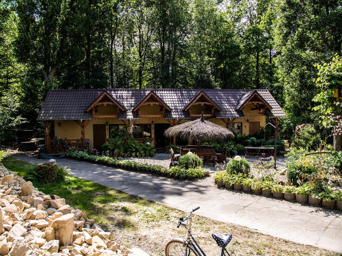Gryfów Śląski阿格穆丽娜旅馆公寓 外观 照片
