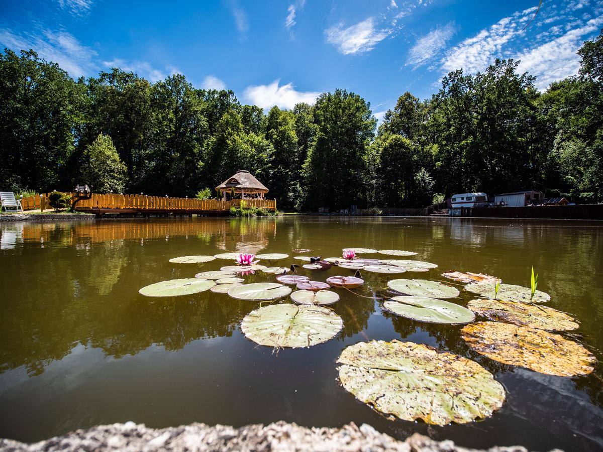 Gryfów Śląski阿格穆丽娜旅馆公寓 外观 照片